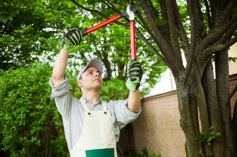 Products For Tree Prunings in use