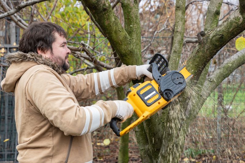 The Importance Of Regular Tree Trimming For Property Safety