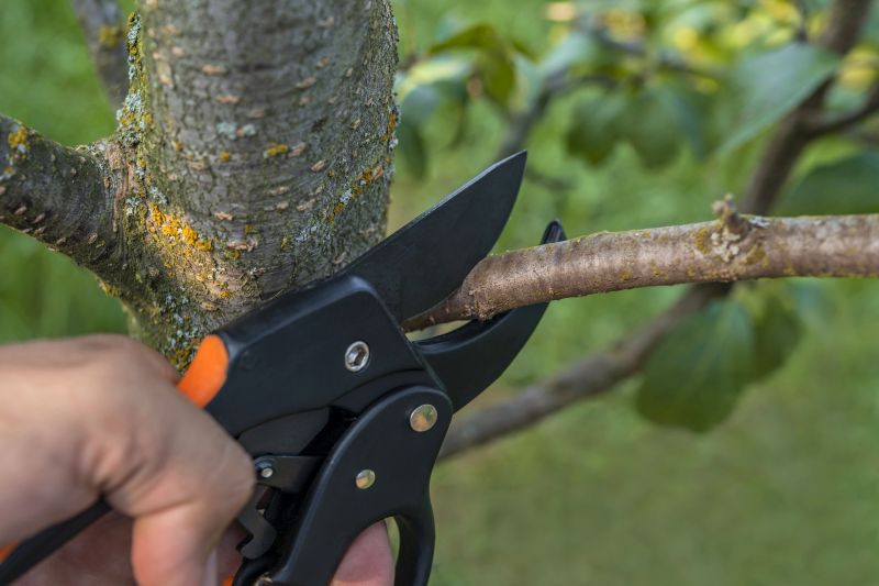 Top Rated Tree Pruning Products